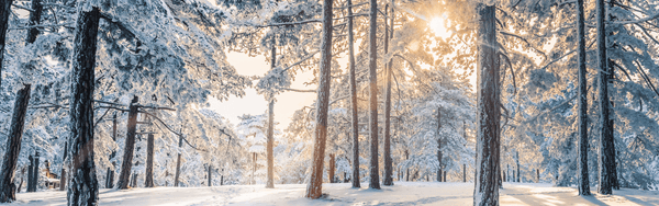 Hoe u deze winter een droge huid aanpakt