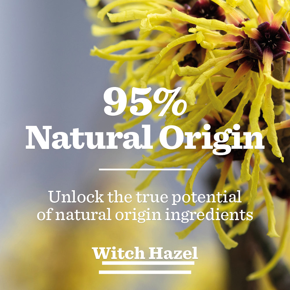 Close-up of yellow witch hazel flowers with text overlay: “95% Natural Origin. Unlock the true power of natural ingredients in Oil Control Face Wash for men. With Witch Hazel.”.