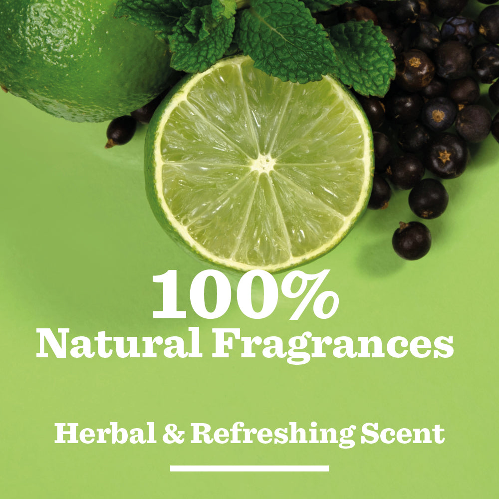 A halved lime with mint leaves and dark berries on a light green background, featuring the text 100% Natural Fragrances and Herbal & Refreshing Scent—ideal for Original Shower Gel made with natural ingredients.